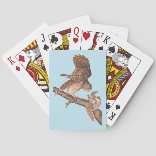 Audubon's Barred Owl and Squirrel Odd Friends Pokerkaarten (Achterkant)