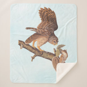 Audubon's Barred Owl and Squirrel Odd Friends Sherpa Deken