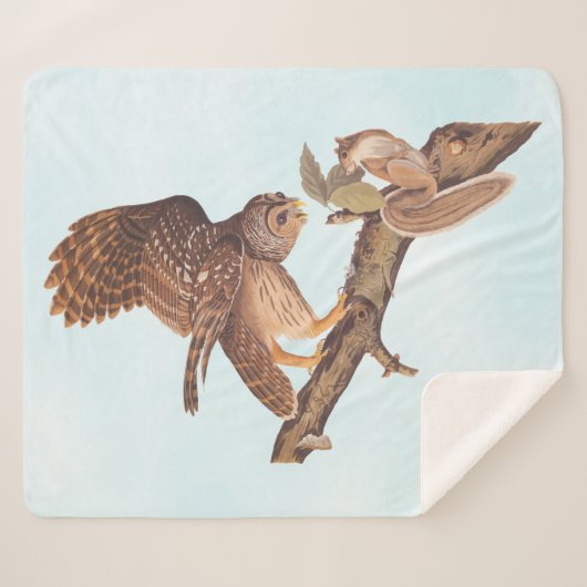 Audubon's Barred Owl and Squirrel Odd Friends Sherpa Deken (Voorkant (horizontaal))