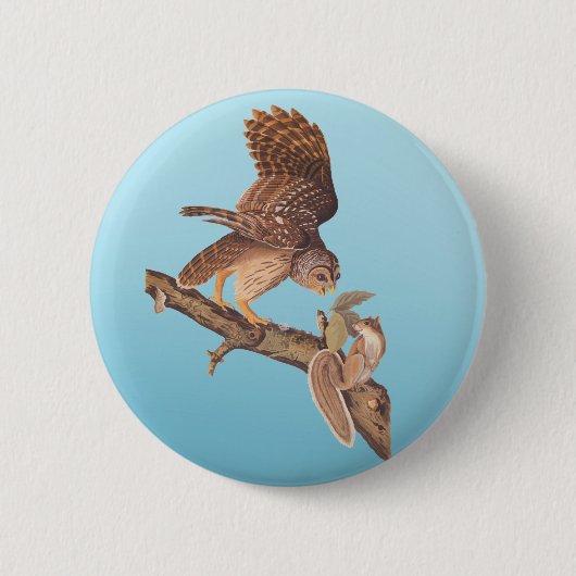 Audubon's Barred Owl en Happy Squirrel Friends Ronde Button 5,7 Cm (Voorkant)
