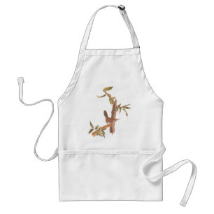 Audubon's Bewick's langgetrapt vogeltje op de boom Standaard Schort