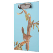 Audubon's Bewick's Long Tailed Song Bird Klembord (Links)