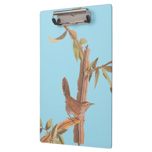 Audubon's Bewick's Long Tailed Song Bird Klembord (Links)