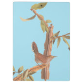 Audubon's Bewick's Long Tailed Song Bird Klembord (Achterkant)