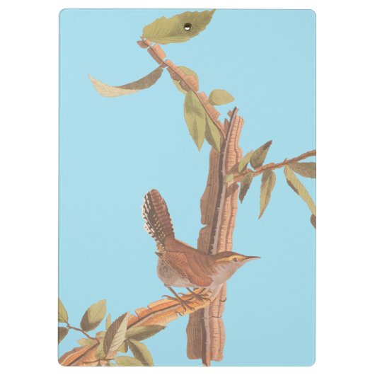 Audubon's Bewick's Long Tailed Song Bird Klembord (Achterkant)