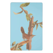 Audubon's Bewick's Long Tailed Song Bird Mini Klembord (Achterkant)