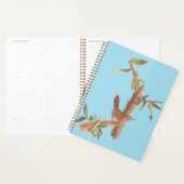Audubon's Bewick's Long Tailed Song Bird Planner (Display)