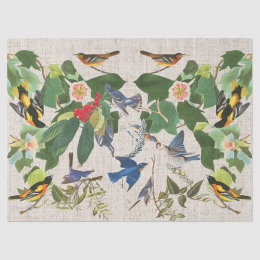 Audubons Birds Wildlife Animal Floral Weefpapier Tissuepapier (Voorkant)