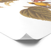 Audubon's blauw-Winged gele koningszong Poster (Hoek)