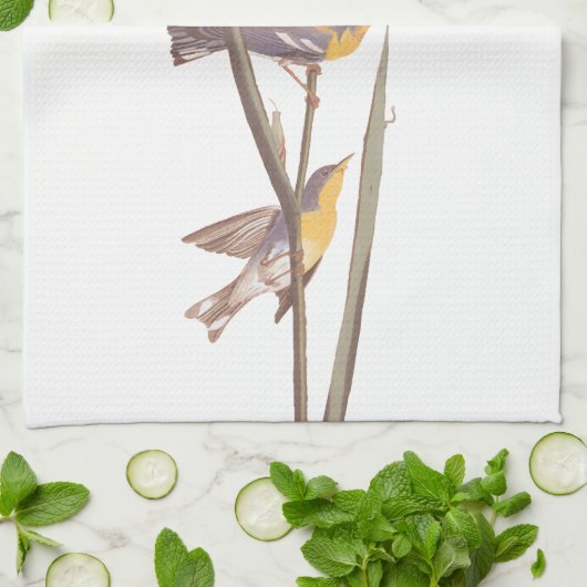 Audubon's Blauwe Geel-Back Warbler Theedoek (Gevouwen)