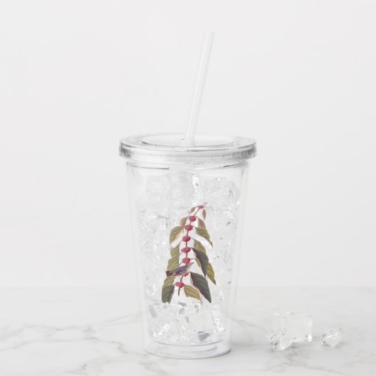 Audubon's  Blauwe Groene Warbler Zong Bird Acryl Drinkbeker (Achterkant ijs)