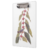 Audubon's  Blauwe Groene Warbler Zong Bird Klembord (Links)