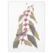 Audubon's  Blauwe Groene Warbler Zong Bird Klembord (Achterkant)