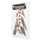 Audubon's  Blauwe Groene Warbler Zong Bird Mini Klembord (Angled2)