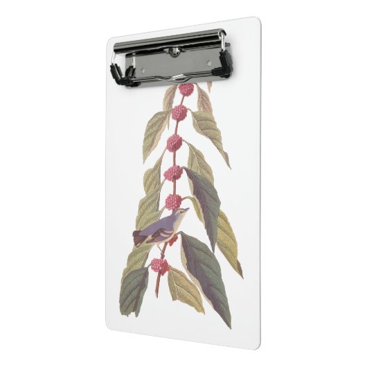 Audubon's Blauwe Groene Warbler Zong Bird Mini Klembord (Angled2)