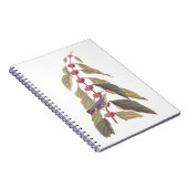 Audubon's  Blauwe Groene Warbler Zong Bird Notitieboek (Rechterzijde)