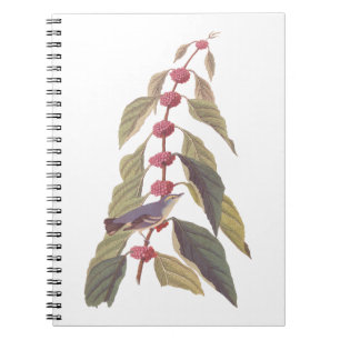 Audubon's Blauwe Groene Warbler Zong Bird Notitieboek