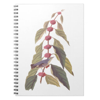 Audubon's Blauwe Groene Warbler Zong Bird Notitieboek