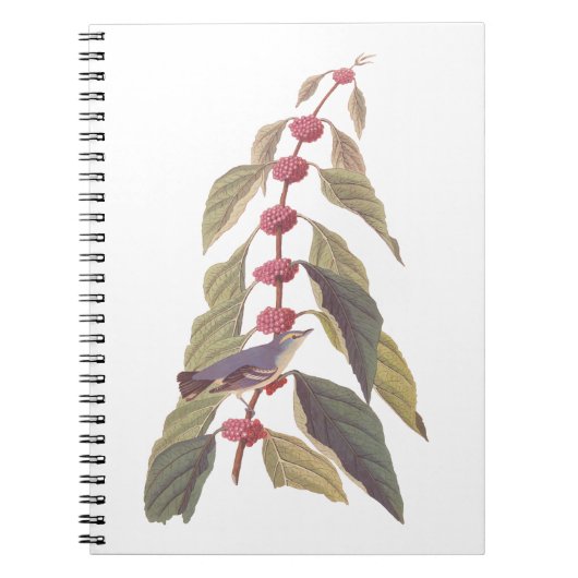 Audubon's  Blauwe Groene Warbler Zong Bird Notitieboek (Voorkant)