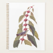 Audubon's  Blauwe Groene Warbler Zong Bird Planner (Voorkant)