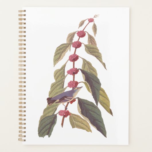 Audubon's  Blauwe Groene Warbler Zong Bird Planner (Voorkant)