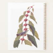 Audubon's  Blauwe Groene Warbler Zong Bird Planner (Achterkant)