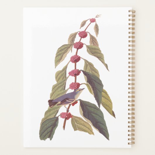 Audubon's  Blauwe Groene Warbler Zong Bird Planner (Achterkant)