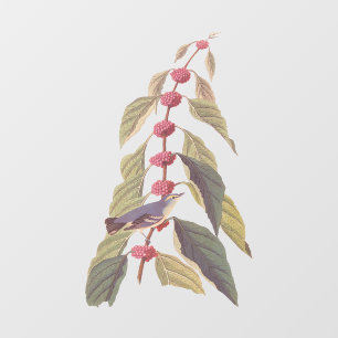 Audubon's Blauwe Groene Warbler Zong Bird Raamsticker