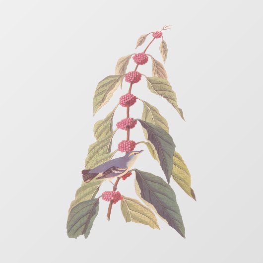 Audubon's  Blauwe Groene Warbler Zong Bird Raamsticker (Vel)