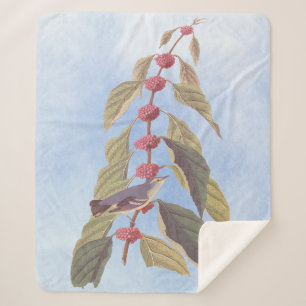 Audubon's  Blauwe Groene Warbler Zong Bird Sherpa Deken