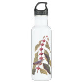 Audubon's  Blauwe Groene Warbler Zong Bird Waterfles (Voorkant)