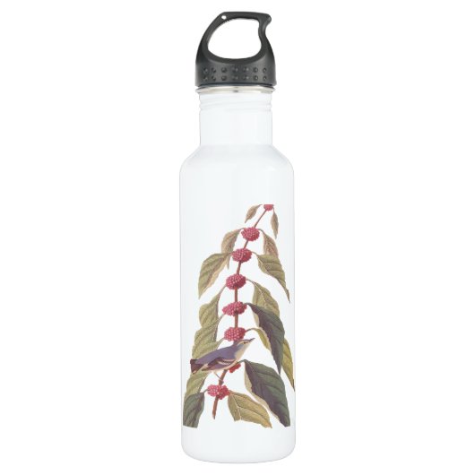 Audubon's  Blauwe Groene Warbler Zong Bird Waterfles (Voorkant)