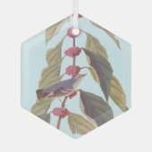 Audubon's blauwe groene warbler zong vogel glas ornament (Voorkant)