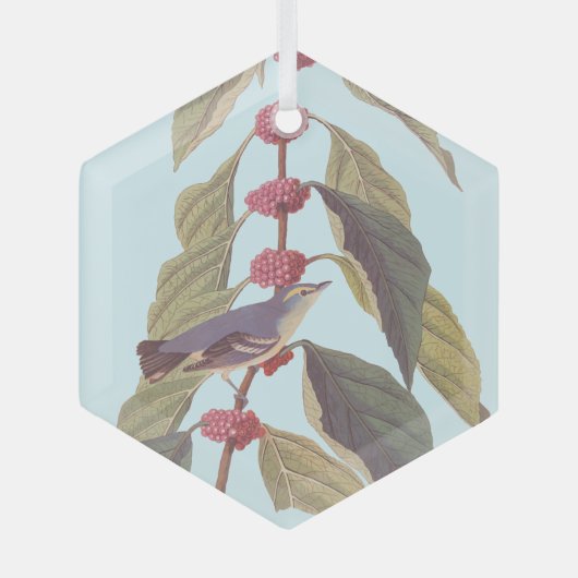 Audubon's blauwe groene warbler zong vogel glas ornament (Voorkant)