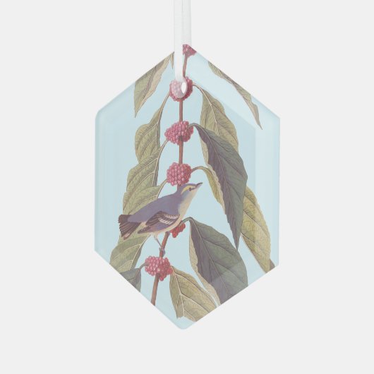 Audubon's  blauwe groene warbler zong vogel glas ornament (Voorkant links)