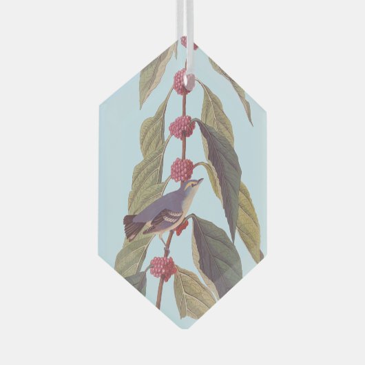 Audubon's  blauwe groene warbler zong vogel glas ornament (Voorkant Rechts)