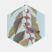Audubon's blauwe groene warbler zong vogel glas ornament (Achterkant)