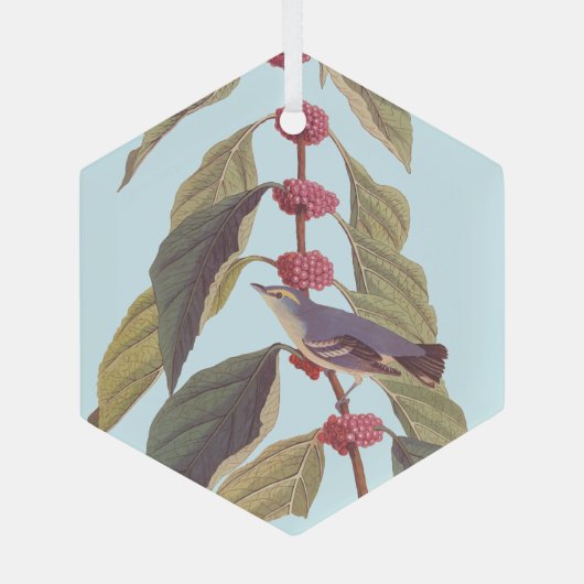 Audubon's blauwe groene warbler zong vogel glas ornament (Achterkant)