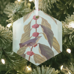 Audubon's blauwe groene warbler zong vogel glas ornament