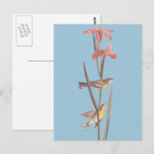 Audubon's Blue Yellowback Warbler Birds Briefkaart (Voorkant / Achterkant)