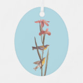 Audubon's Blue Yellowback Warbler Birds Metalen Ornament (Voorkant)