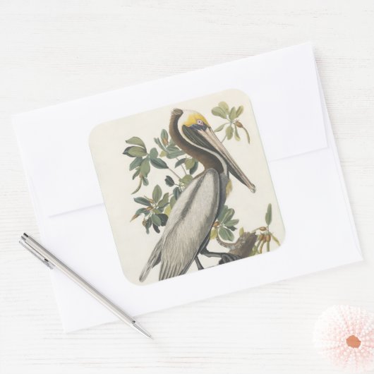 Audubon's bruine pelikaan vierkante sticker (Envelop)
