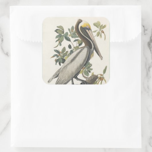 Audubon's bruine pelikaan vierkante sticker (Tas)