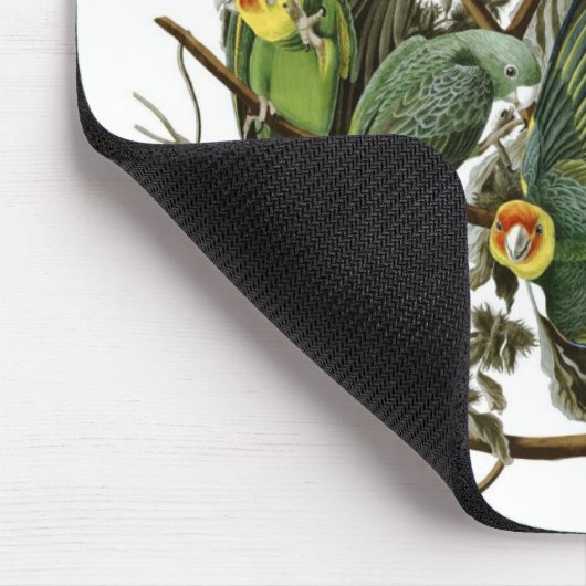 Audubon's Carolina Parakeets Muismat (Hoek)