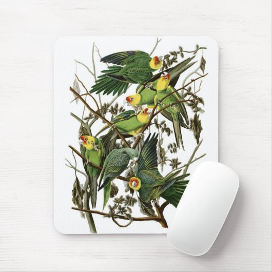 Audubon's Carolina Parakeets Muismat (Met muis)