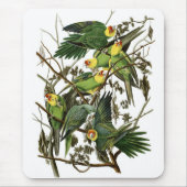 Audubon's Carolina Parakeets Muismat (Voorkant)