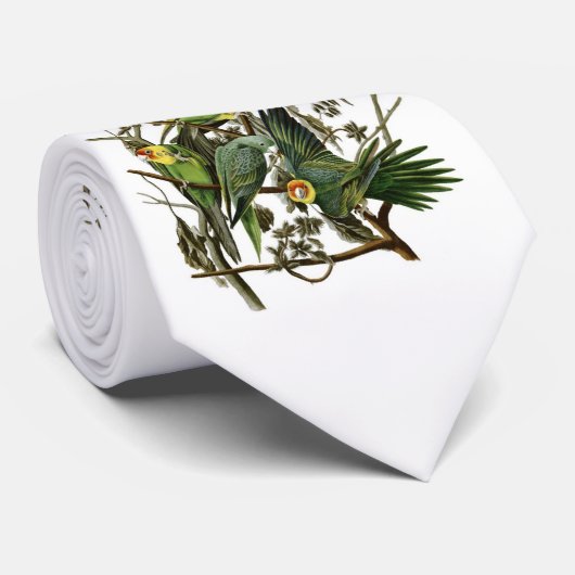 Audubon's Carolina Parakeets Stropdas (Opgerold)