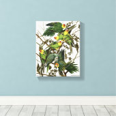 Audubon's Carolina Paraket Canvas Afdruk (Insitu (Houten vloer))