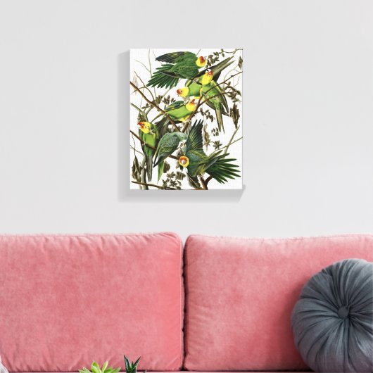 Audubon's Carolina Paraket Canvas Afdruk (Insitu (Woonkamer))