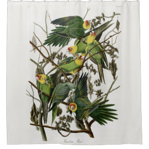Audubon's Carolina Paraket Douchegordijn